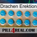 Dragon Erection new09